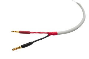 SOUNDSTAGE 10FT STRAIGHT WIRE KABEL